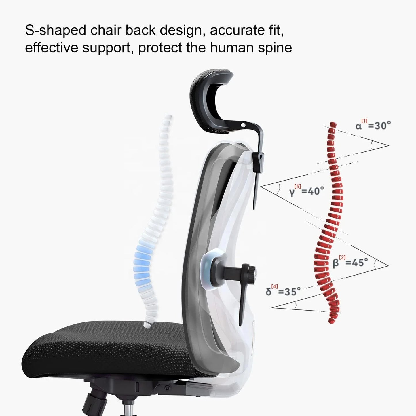 BackCare